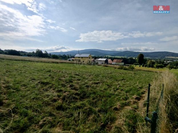 Prodej pozemku pro bydlení, Nové Město pod Smrkem - Hajniště, 1299 m2
