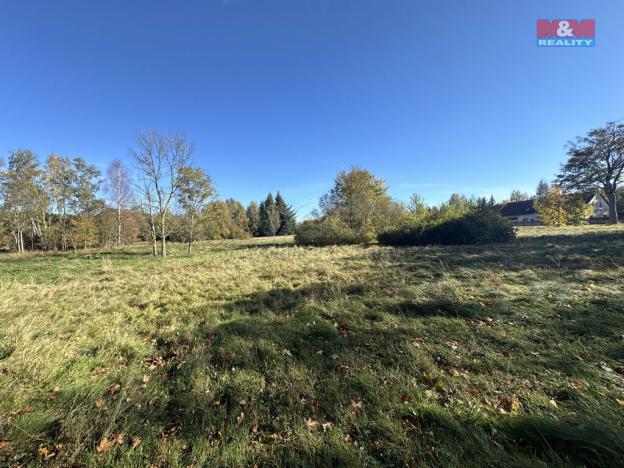 Prodej rybníku, Nové Město pod Smrkem, 39493 m2