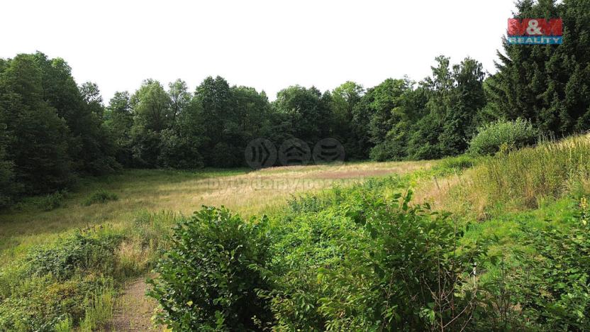 Prodej zahrady, Červený Kostelec - Olešnice, 8220 m2