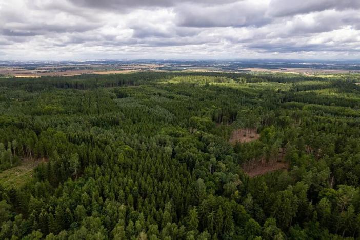 Prodej rodinného domu, Babice, Honzíkova, 389 m2