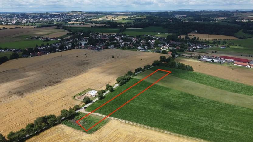Prodej pole, Čejov, 22502 m2