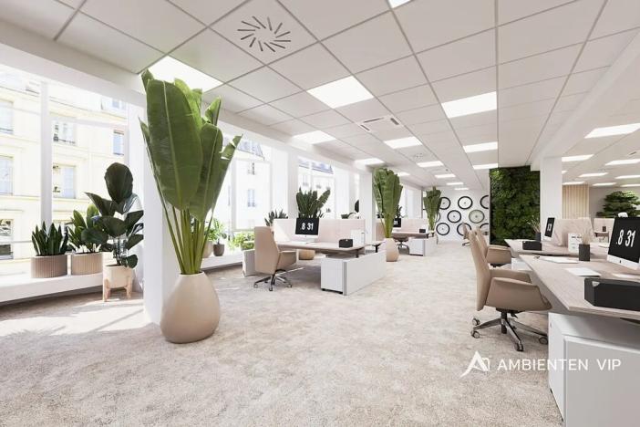 Pronájem kanceláře, Brno, Masarykova, 506 m2