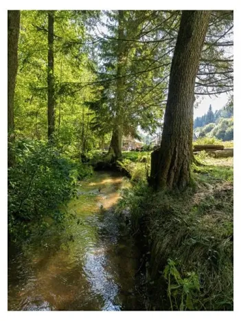 Prodej rodinného domu, Mukařov, 340 m2