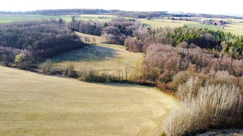 Prodej pozemku pro bydlení, Morašice, 3579 m2