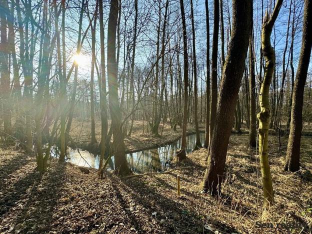 Prodej pozemku pro bydlení, Morašice, 1193 m2