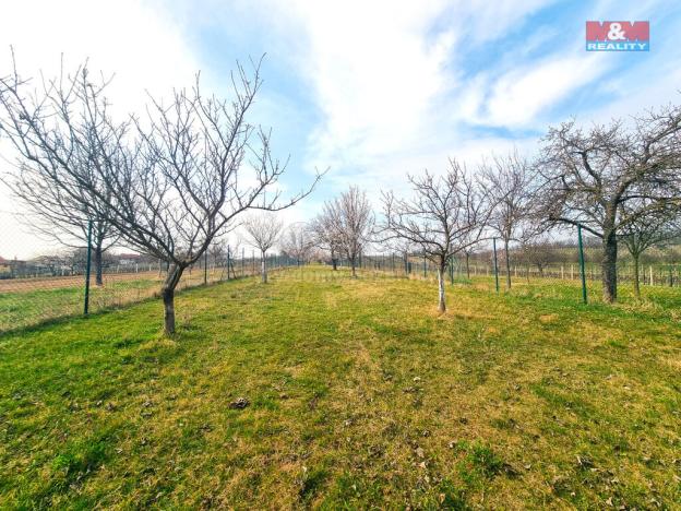 Prodej pole, Starý Poddvorov, 4096 m2