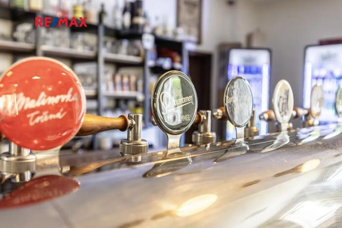 Prodej obchodního prostoru, Čelákovice, Rumunská, 794 m2