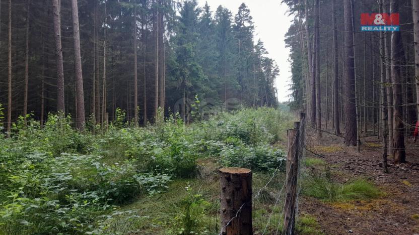 Prodej lesa, Bernartice - Zběšice, 3179 m2