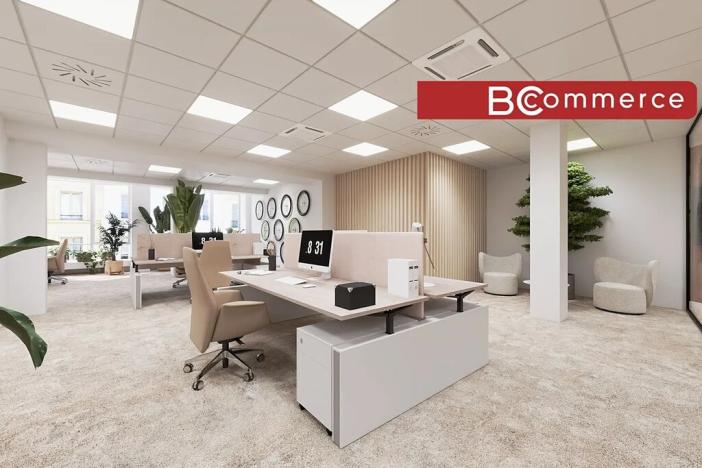 Pronájem kanceláře, Brno, Masarykova, 505 m2