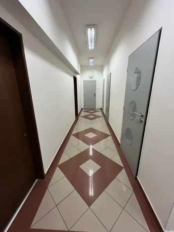 Pronájem kanceláře, Praha, 30 m2