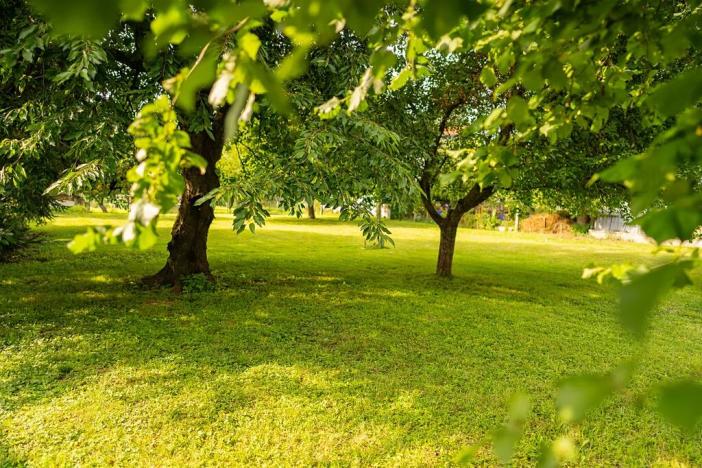 Prodej pozemku pro bydlení, Úvaly, U Výmoly, 1794 m2