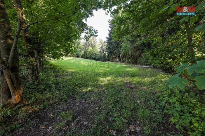 Prodej lesa, Petrovice u Sušice - Maršovice, 15707 m2