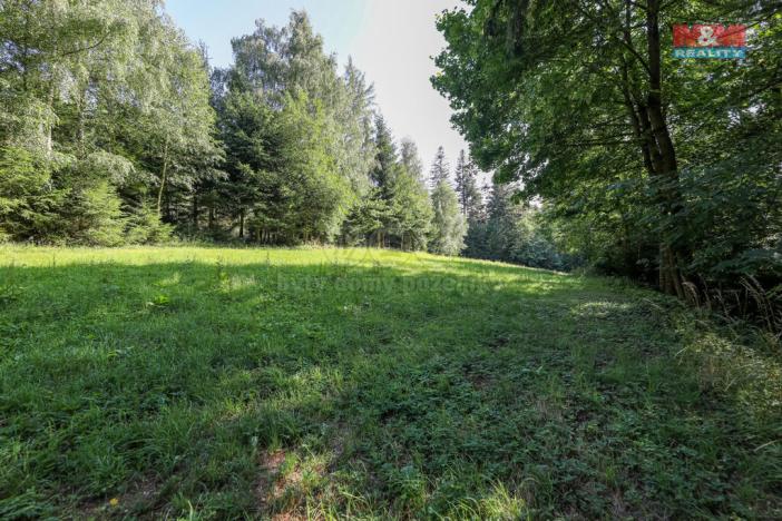 Prodej lesa, Petrovice u Sušice - Maršovice, 15707 m2