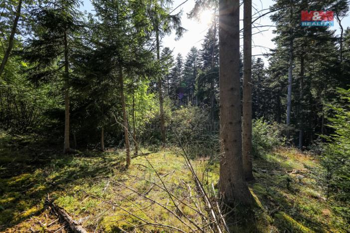 Prodej lesa, Petrovice u Sušice - Maršovice, 15707 m2