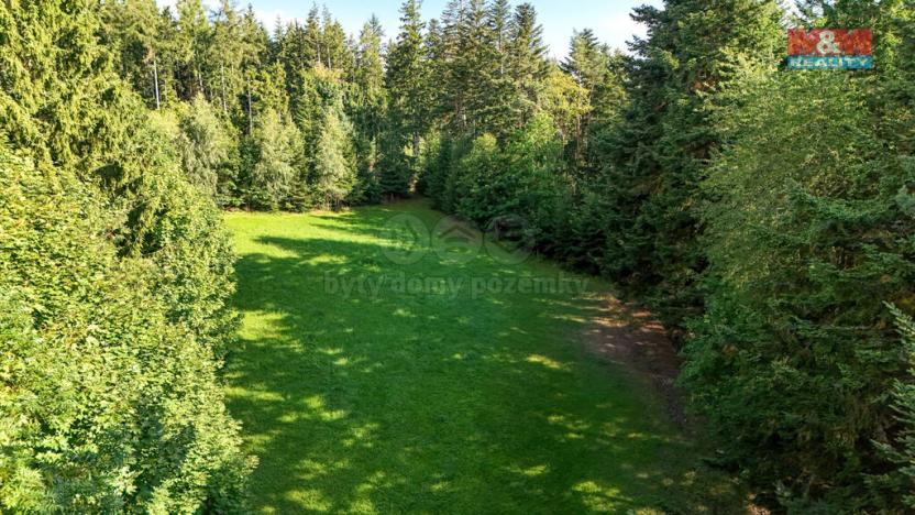 Prodej lesa, Petrovice u Sušice - Maršovice, 15707 m2