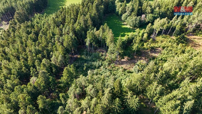 Prodej lesa, Petrovice u Sušice - Maršovice, 15707 m2