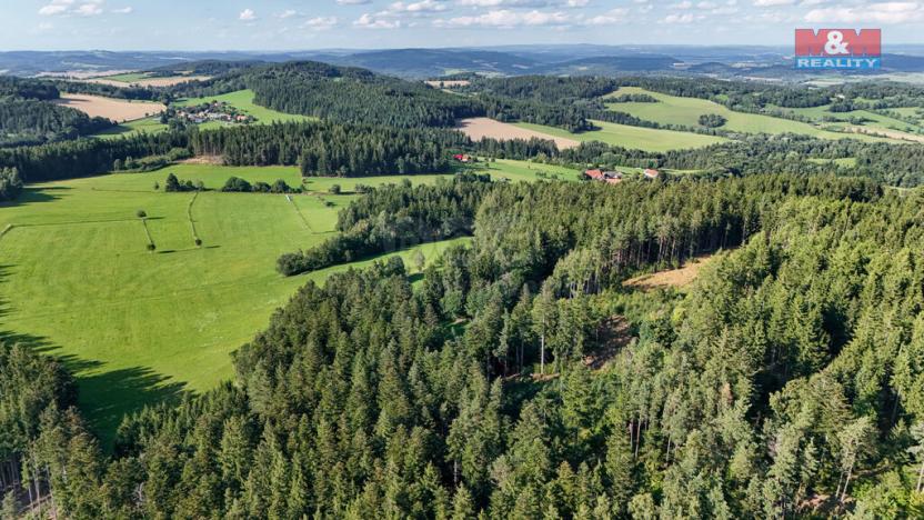 Prodej lesa, Petrovice u Sušice - Maršovice, 15707 m2