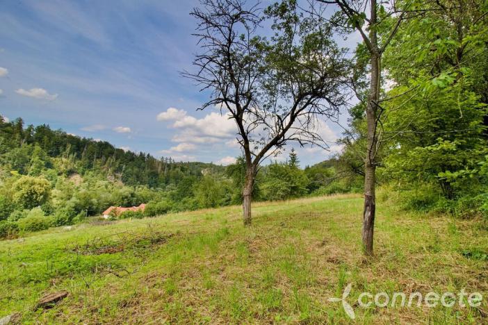 Prodej pozemku, Český Šternberk, 2000 m2