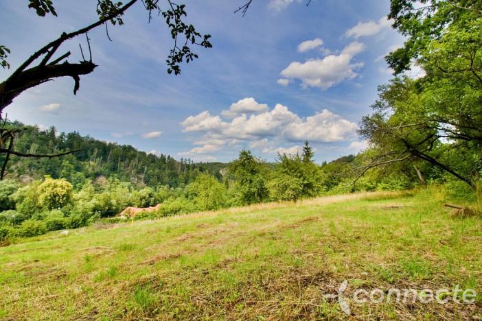 Prodej pozemku, Český Šternberk, 2000 m2