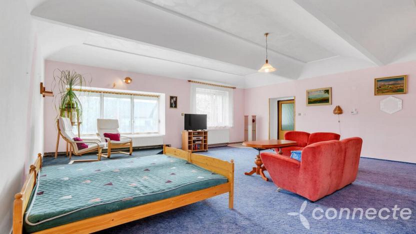 Prodej komerční, Hřibiny-Ledská - Hřibiny, 196 m2