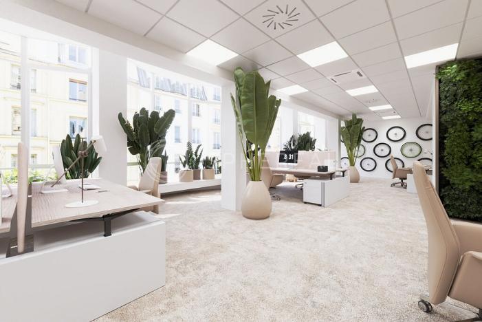 Pronájem kanceláře, Brno - Brno-město, Masarykova, 505 m2