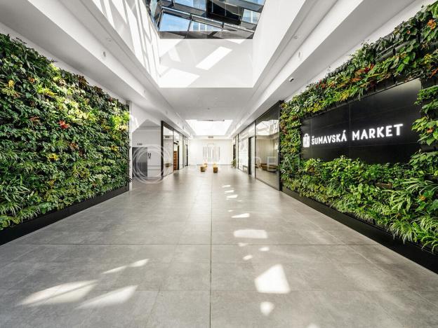 Pronájem kanceláře, Brno - Veveří, Šumavská, 270 m2