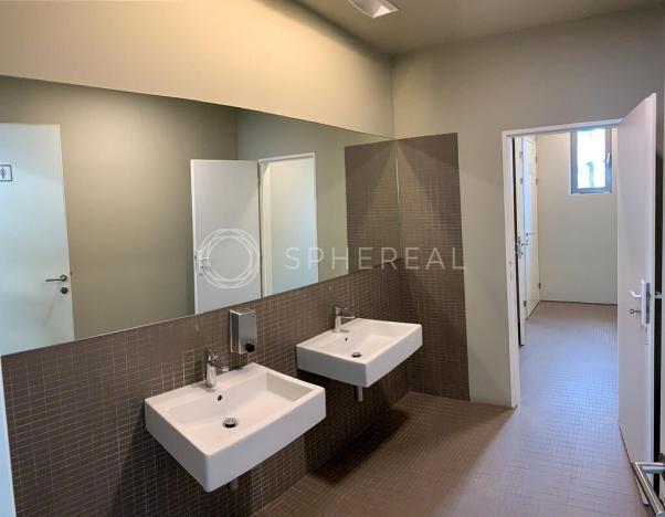 Pronájem kanceláře, Brno - Trnitá, Dornych, 397 m2