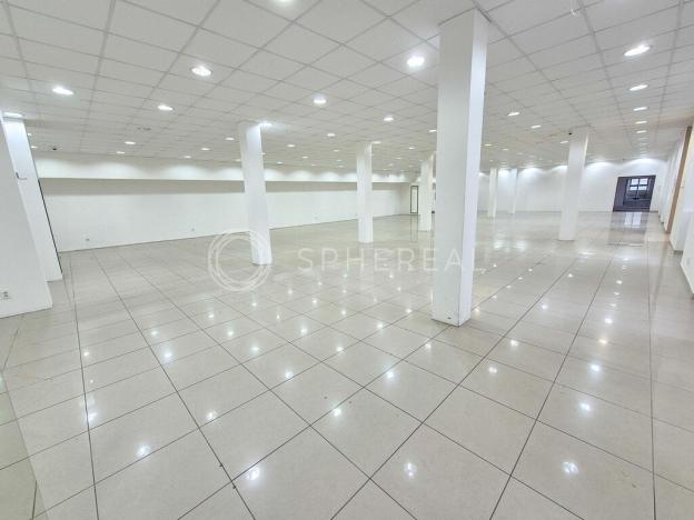 Pronájem obchodního prostoru, Brno - Staré Brno, Václavská, 710 m2