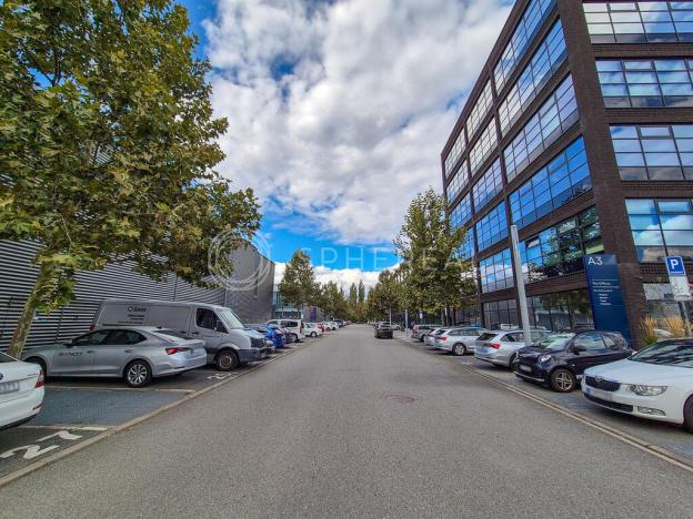 Pronájem kanceláře, Brno - Trnitá, Škrobárenská, 1233 m2