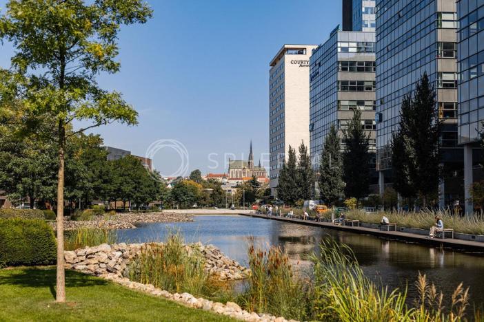 Pronájem kanceláře, Brno - Štýřice, Holandská, 240 m2