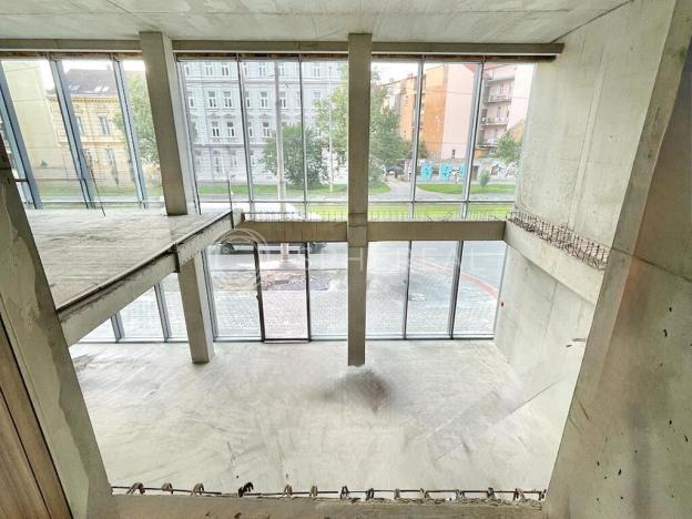 Pronájem obchodního prostoru, Brno - Staré Brno, Nové sady, 310 m2