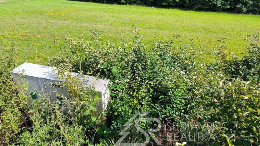 Prodej pozemku, Sušice - Záluží, 3500 m2