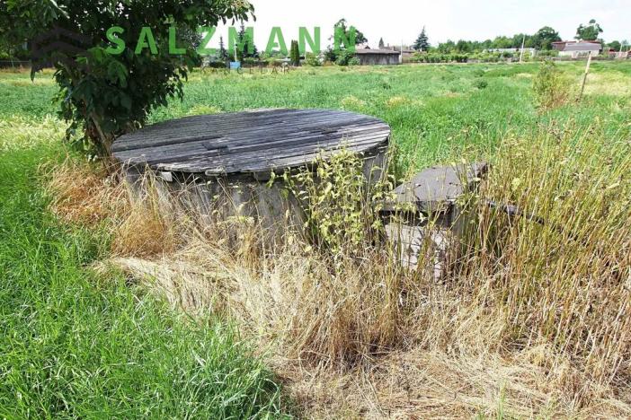 Prodej pole, Plzeň, Radčická, 7083 m2