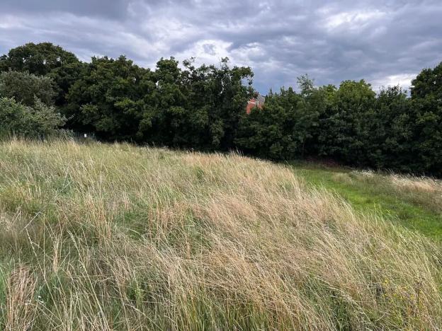 Prodej zahrady, Oslavany, 3447 m2