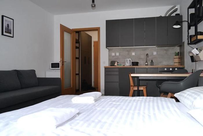 Prodej bytu 1+kk, Abertamy, Vítězná, 34 m2