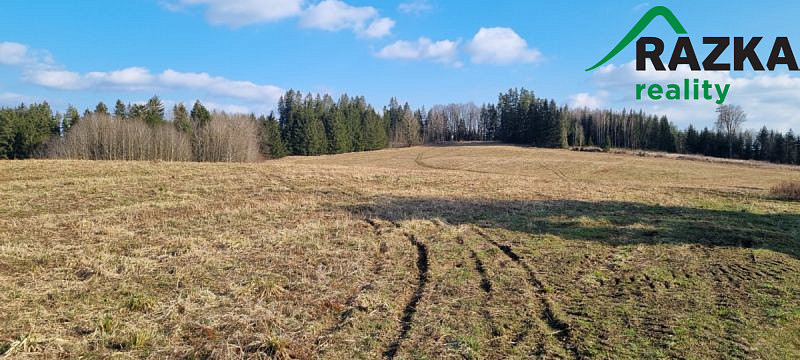 Prodej pole, Halže, 141968 m2