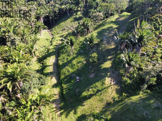 Prodej pozemku, Coxen Hole, Roatán, Honduras, 300 m2