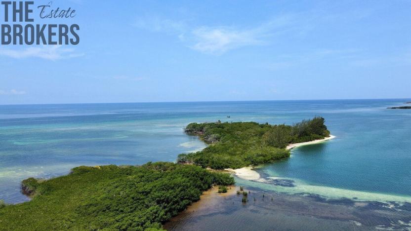 Prodej pozemku, Port Royal, José Santos Guardiola, Honduras, 161996 m2