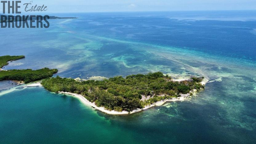 Prodej pozemku, Port Royal, José Santos Guardiola, Honduras, 161996 m2