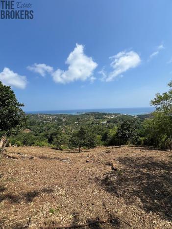 Prodej pozemku, French Harbour, Roatán, Honduras, 2428 m2