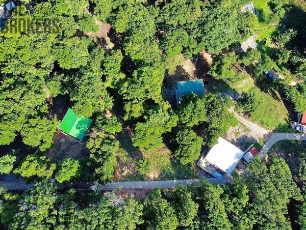 Prodej pozemku, Coxen Hole, Roatán, Honduras, 1000 m2