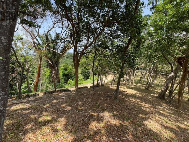 Prodej pozemku, Coxen Hole, Roatán, Honduras, 1884 m2