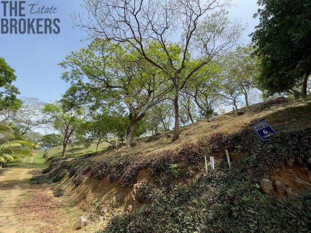 Prodej pozemku, Coxen Hole, Roatán, Honduras, 1594 m2