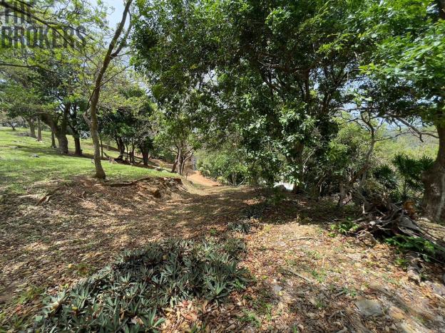 Prodej pozemku, Coxen Hole, Roatán, Honduras, 1821 m2