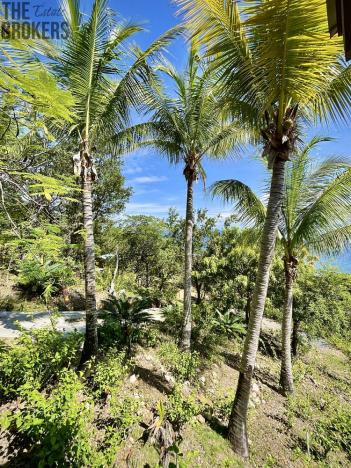 Prodej rodinného domu, point, José Santos Guardiola, Honduras, 279 m2