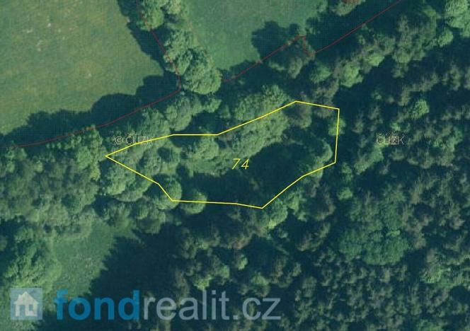 Prodej pozemku, Hartmanice, 9140 m2