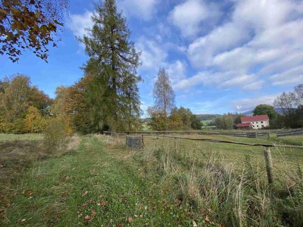 Prodej pozemku, Králíky - Horní Lipka, 3207 m2