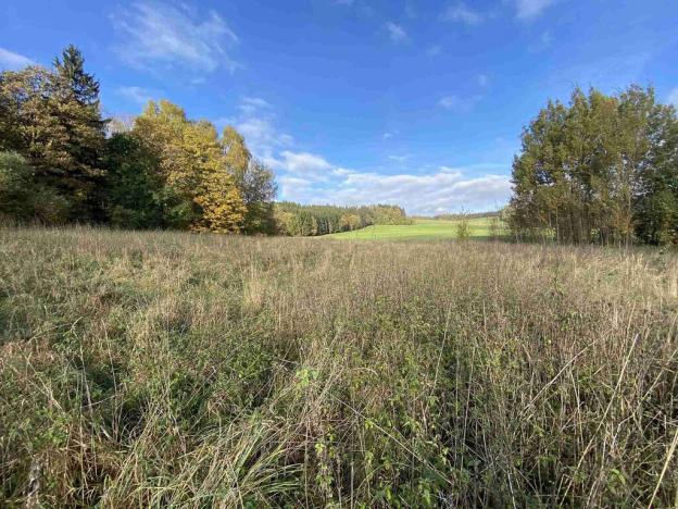 Prodej pozemku, Králíky - Horní Lipka, 3207 m2