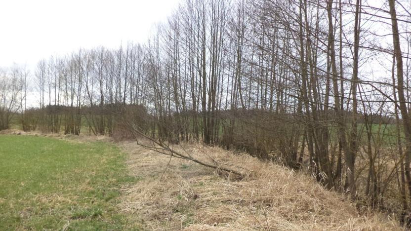 Prodej pole, Jindřichův Hradec - Dolní Radouň, 11340 m2