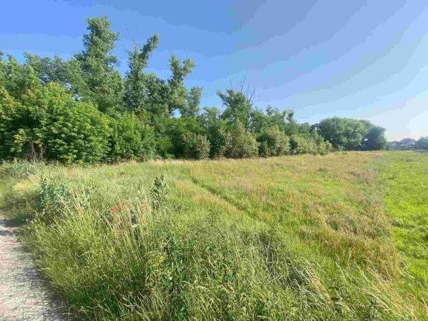 Prodej pozemku, Moravský Písek, 2722 m2